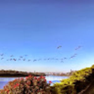 Meet your Posher, Frank